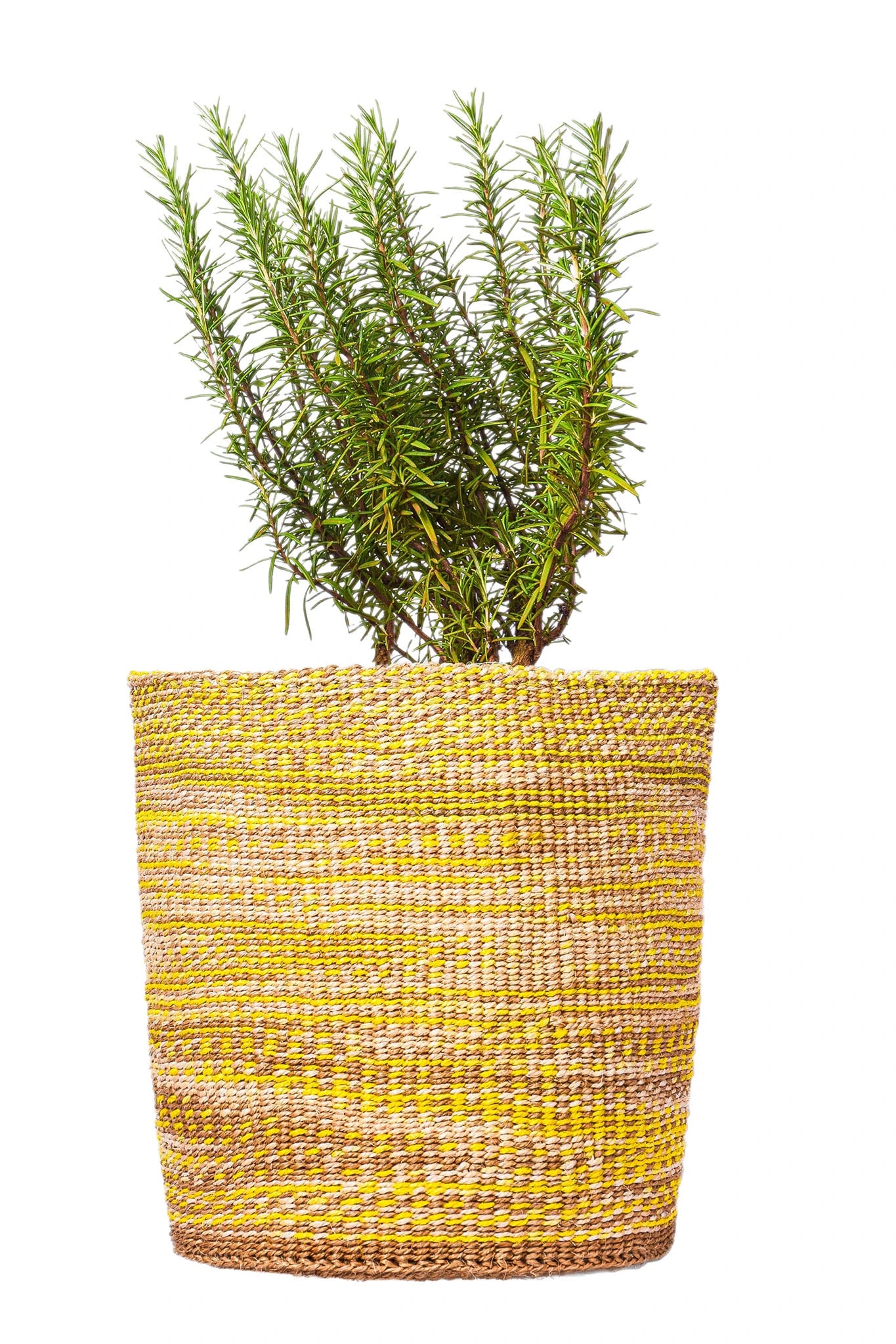 Mustard and Sand Textured African Basket Planter