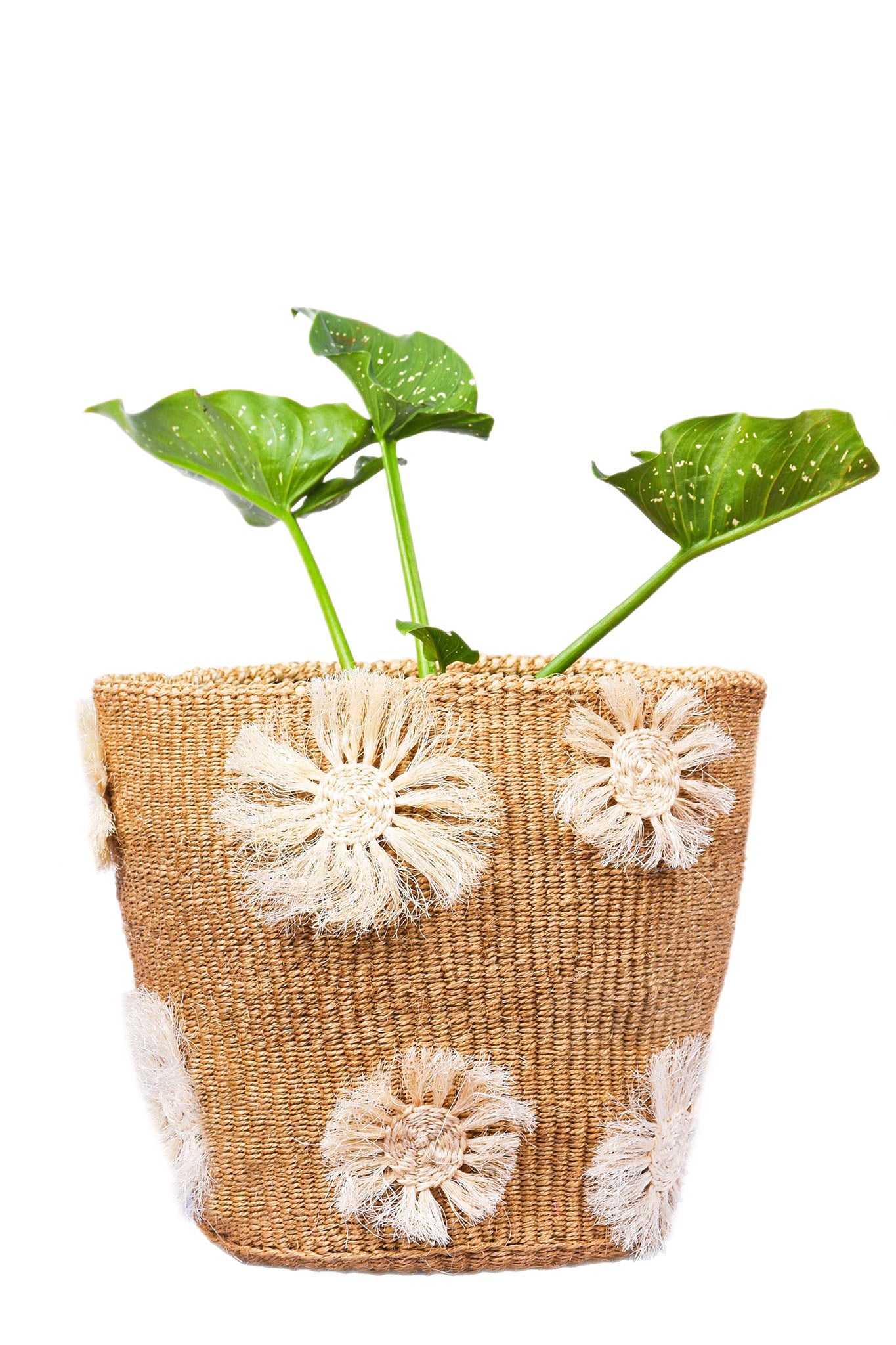 Sand Floral Applique African Basket planter