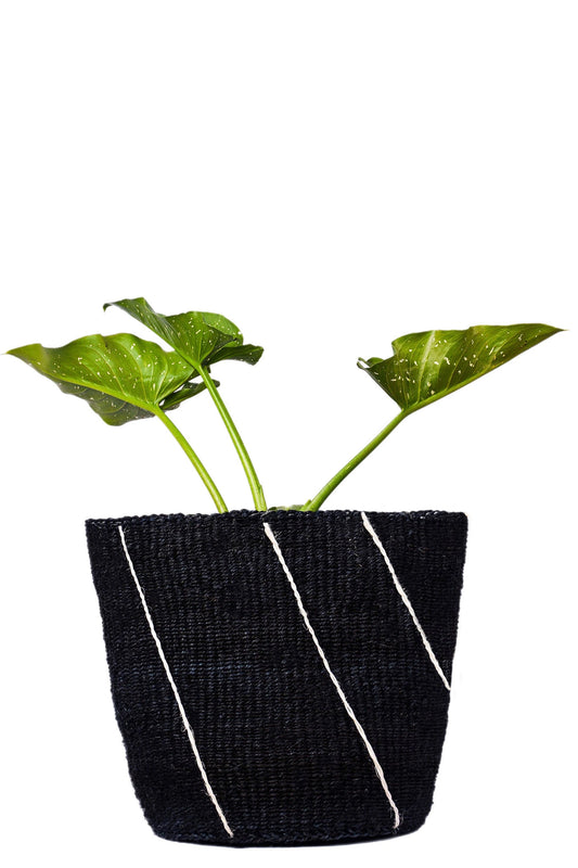 Line Drawing Monochrome African Basket Planter