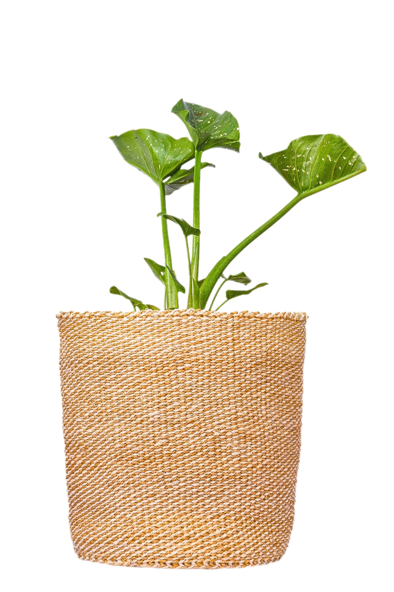 Sand Checkered African Basket Planter