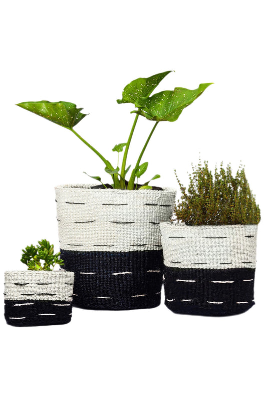 Monochrome African Basket Planter